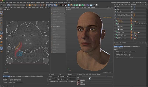 cinema 4d studio free download windows cinema 4d studio free download windows