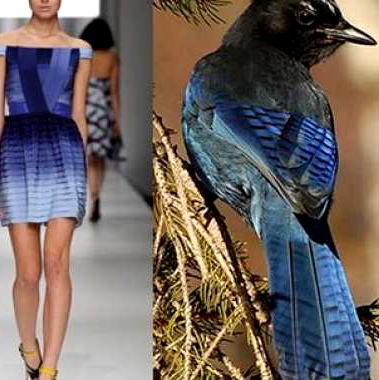 Vinita in Florence: Fashion Inspired By True Reality of Nature