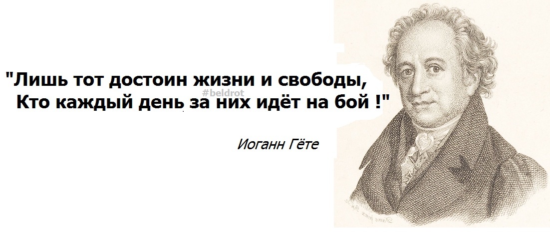 гете лишь тот достоин счастья и свободы. гете цитаты. гете каждый. портрет гете немецкого писателя. немецкий поэт гете.