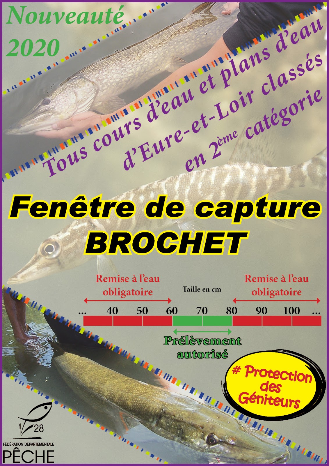 AAPPMA Les Brochetons d'Illiers BROCHET nouvelle réglementation en 2020