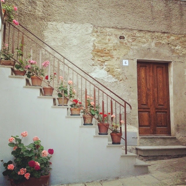 Colored flowers in pots on stairs in the historic town center 