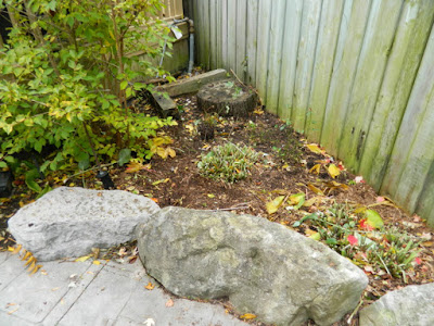 Toronto Bedford Park Fall Cleanup Backyard After by Paul Jung Gardening Services--a Toronto Organic Gardening Company Toronto Bedford Park Fall Cleanup Backyard After by Paul Jung Gardening Services--a Toronto Organic Gardening Company