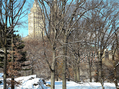 Winter snow central park