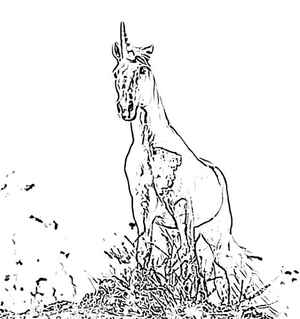 unicorn coloring pages holiday.filminspector.com