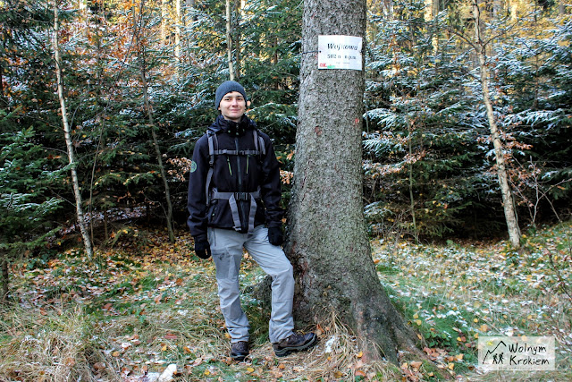 Wojkowa i ród Gersdorfów - Korona Sudetów Polskich