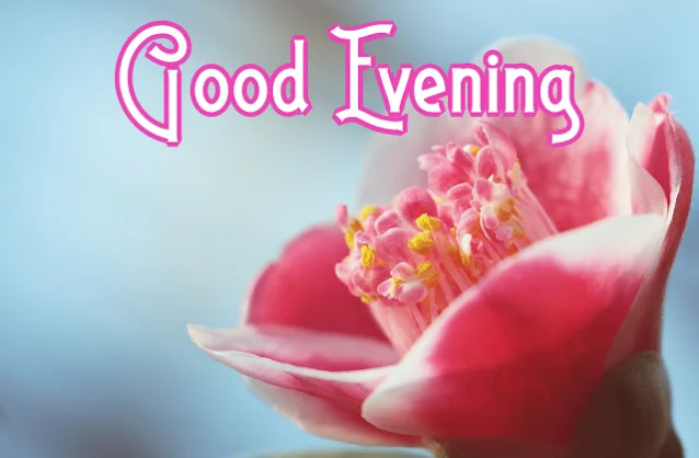 Good Evening Photo Good Evening Photo