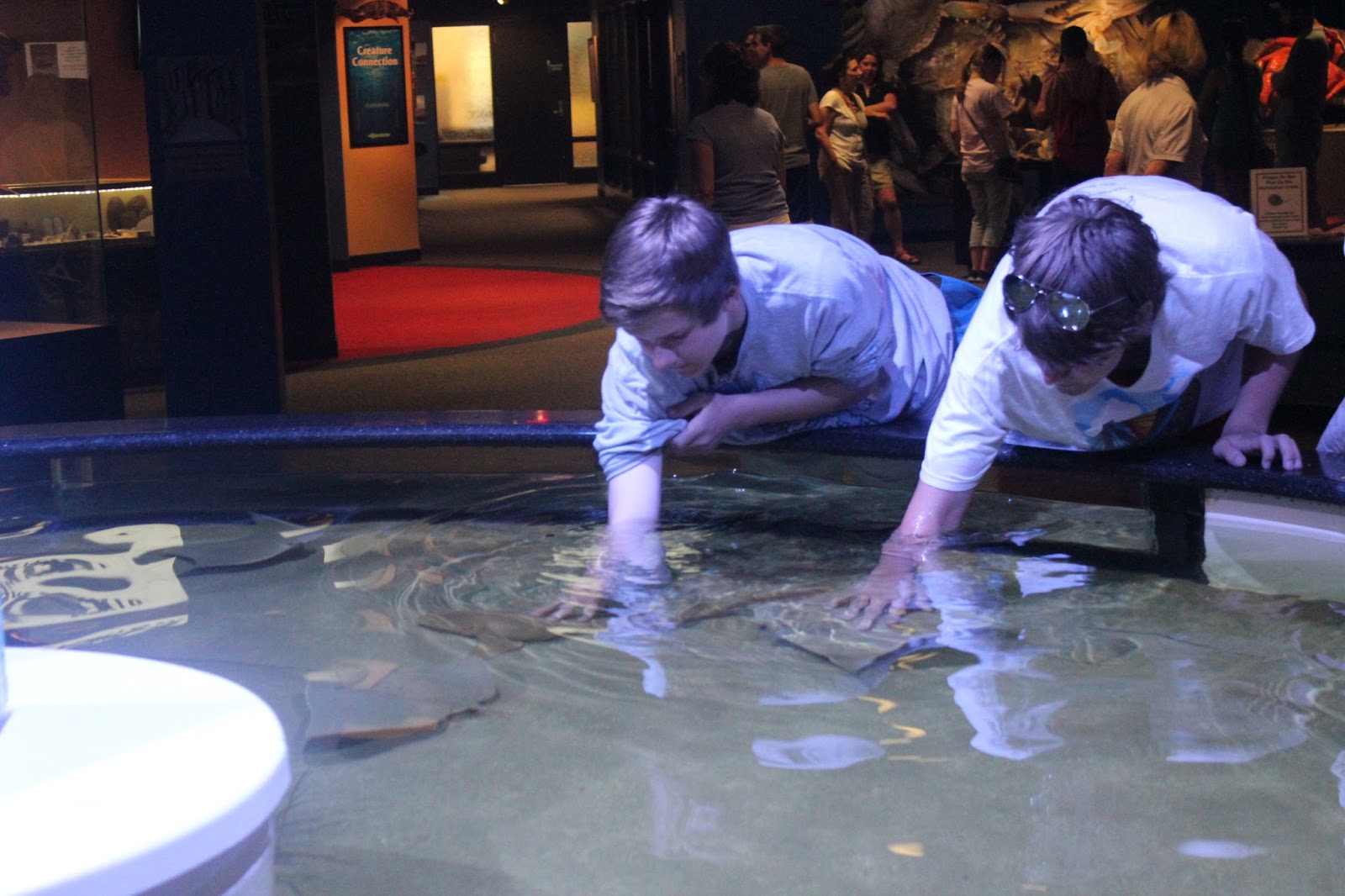 The Largest Aquarium in North Carolina Pine Knoll Shores MyCrystalCoast