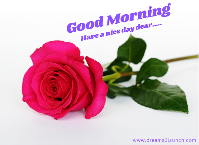 100 Beautiful Good Morning Rose image 2022