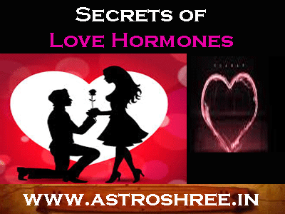 love life secret hormones