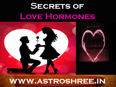 Secrets Of Love Harmones