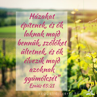 Kép