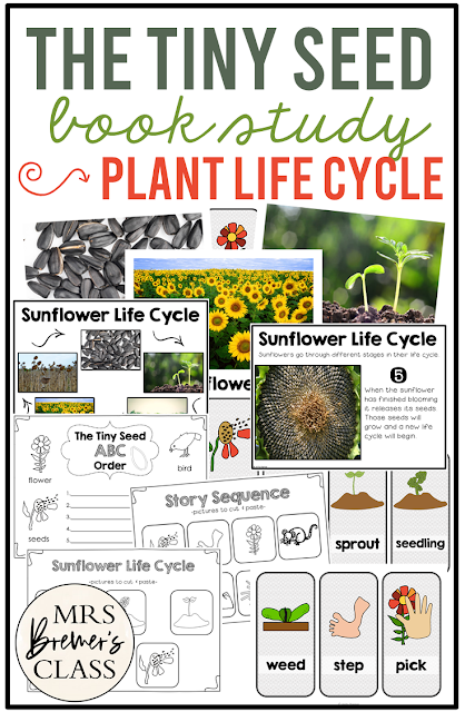 The Tiny Seed book study activities unit with sunflower life cycle spring companion activities for Kindergarten and First Grade