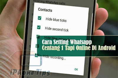 Cara Seting Whatsapp Centang 1 Tapi Online Pada Hp Android Scaleovenstove