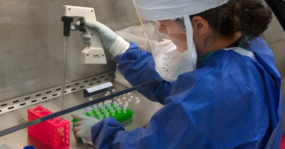 A look into the day to day job of a microbiologist