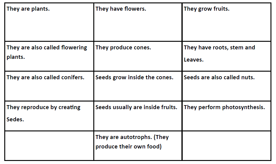 Nuestras clases SCIENCE. Seeds plants.