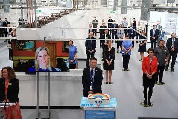 Countess of Wessex formally opened the new NHS Hospital. Heavenly Necklaces gold diamond and large starfish earring