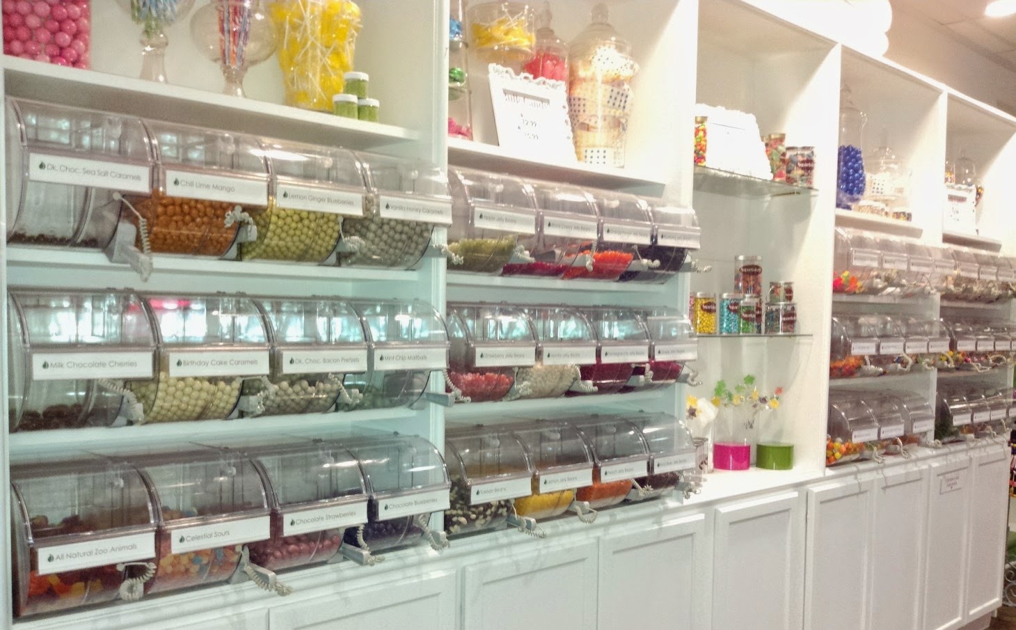 Michelle A. Marcus: Sweetology