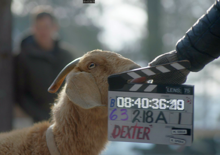 Dexter Daily | Dexter: New Blood: Today's The Final Day Of Shooting For