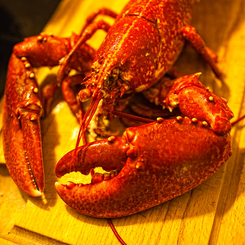 Behind the French Menu Homard Lobster. The TwoClawed European