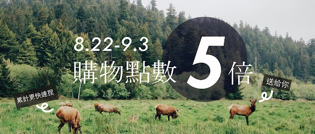 許許兒五月新品點數五倍送