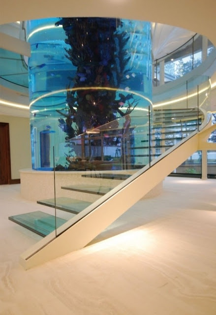 Dalliance Design | A Love Affair With Design: FISH TANK DESIGN