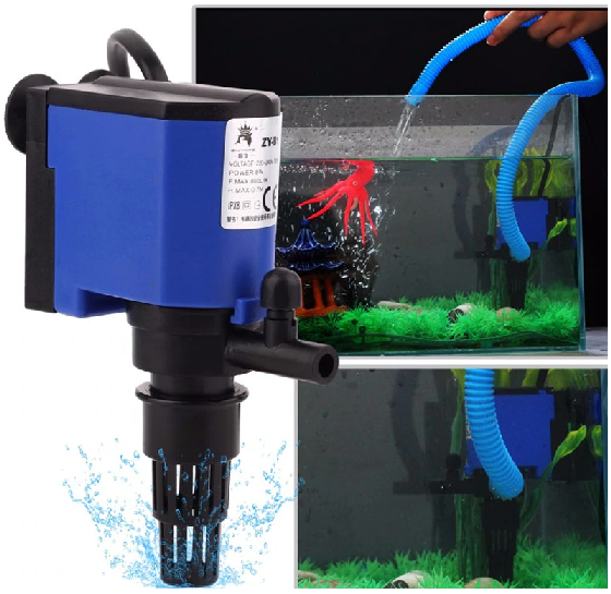 How to Setup Mechanical Filtration in an Aquarium