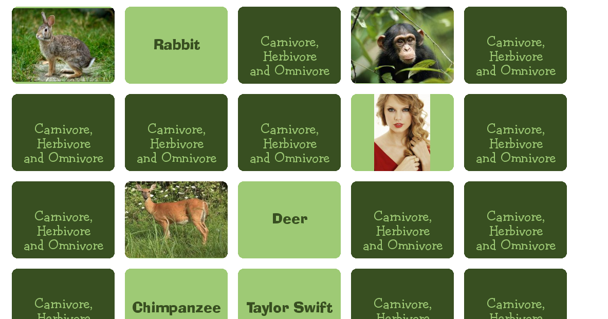 OUR WAY TO LEARN ENGLISH: CLASSIFICATION OF ANIMALS. GAMES