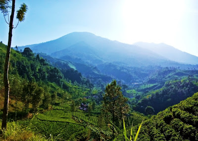 jalur pendakian gunung buthak via sirah kencong