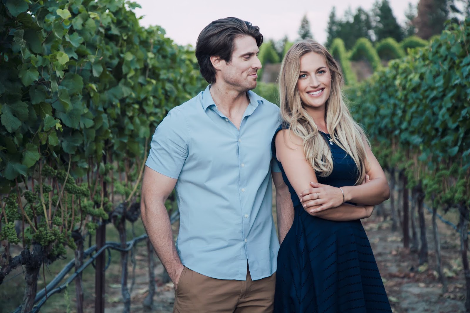 A Vineyard Romance A Vineyard Romance