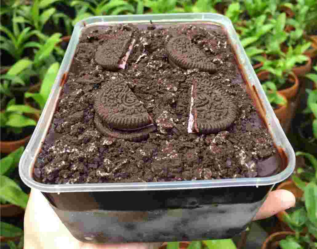 Cara Membuat Dessert Box Oreo