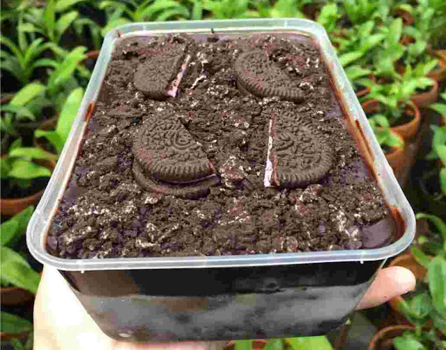 Cara Membuat Dessert Box Oreo - Kamu sudah cobain Dessert Box Oreo apa belum, nih? Ada banyak online shop yang menjual makanan tersebut di media sosial. Tapi, daripada beli, kamu bisa membuat sendiri di rumah    Selain jadi lebih hemat, kamu bisa menikmatinya sepuasnya bareng keluarga. Coba ikuti cara membuat dessert box Oreo di bawah ini ya!    Cara Membuat Dessert Box Oreo   A. Bahan-bahan yang dibutuhkan   1. Bahan untuk Oreo crust: 1 bungkus Oreo rasa vanila 2 sendok makan mentega tawar yang dicairkan    2. Bahan untuk puding: 400 ml susu putih cair tanpa rasa 2 sendok makan tepung maizena 6 biskuit Oreo dipotong kecil-kecil 1/2 bungkus bubuk agar-agar  3. Bahan untuk cokelat ganache: 300 ml krim kental atau whipping cream 1 sendok makan mentega tawar cair 160 gram cokelat DCC  B. Langkah-langkah membuatnya : Buka sebungkus Oreo dan hancurkan 12 buah isinya hingga menjadi halus dan berupa remahan. Tempatkan ke dalam suatu wadah. Tuang dua sendok makan mentega tawar yang telah dicairkan ke dalam wadah tersebut. Aduk hingga adonan tercampur rata. Siapkan wadah saji untuk dessert box Oreo-mu. Letakkan adonan Oreo crust di dasar wadah saji tersebut secara merata. Ambil enam buah biskuit Oreo, potong kecil-kecil menggunakan pisau dan sisihkan. Siapkan wadah untuk membuat adonan puding. Campurkan susu cair, gula pasir, tepung maizena, dan bubuk agar-agar tanpa rasa. Aduk hingga tercampur rata. Masak adonan puding tersebut di atas kompor berapi kecil sambil terus diaduk. Matikan kompor saat adonan mulai mendidih. Masukkan potongan Oreo ke adonan puding. Aduk merata. Tuang adonan puding tersebut di atas remahan (crust) Oreo ke dalam wadah saji. Diamkan hingga dingin. Campur cokelat DCC dan krim kental dalam suatu wadah. Lelehkan dengan cara meletakkan wadah tersebut di atas panci berisi air panas. Jika sudah leleh, angkat dari panci dan tambahkan sesendok makan mentega tawar cair. Aduk sampai tercampur rata. Tuang adonan cokelat tersebut di wadah saji, tepat di atas puding yang sudah mendingin. Beri topping biskuit Oreo di atasnya, dinginkan di dalam lemari pendingin.