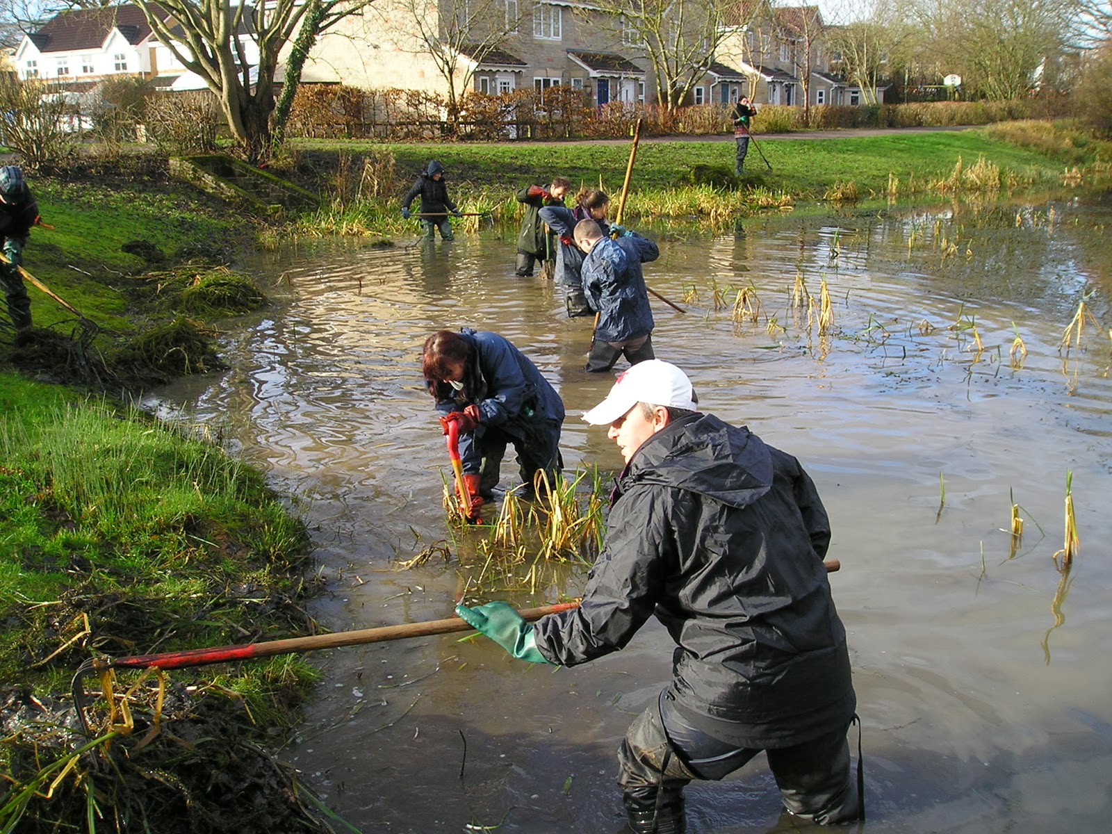 Focus on the LaddenFrome area Volunteers clear Village Pond