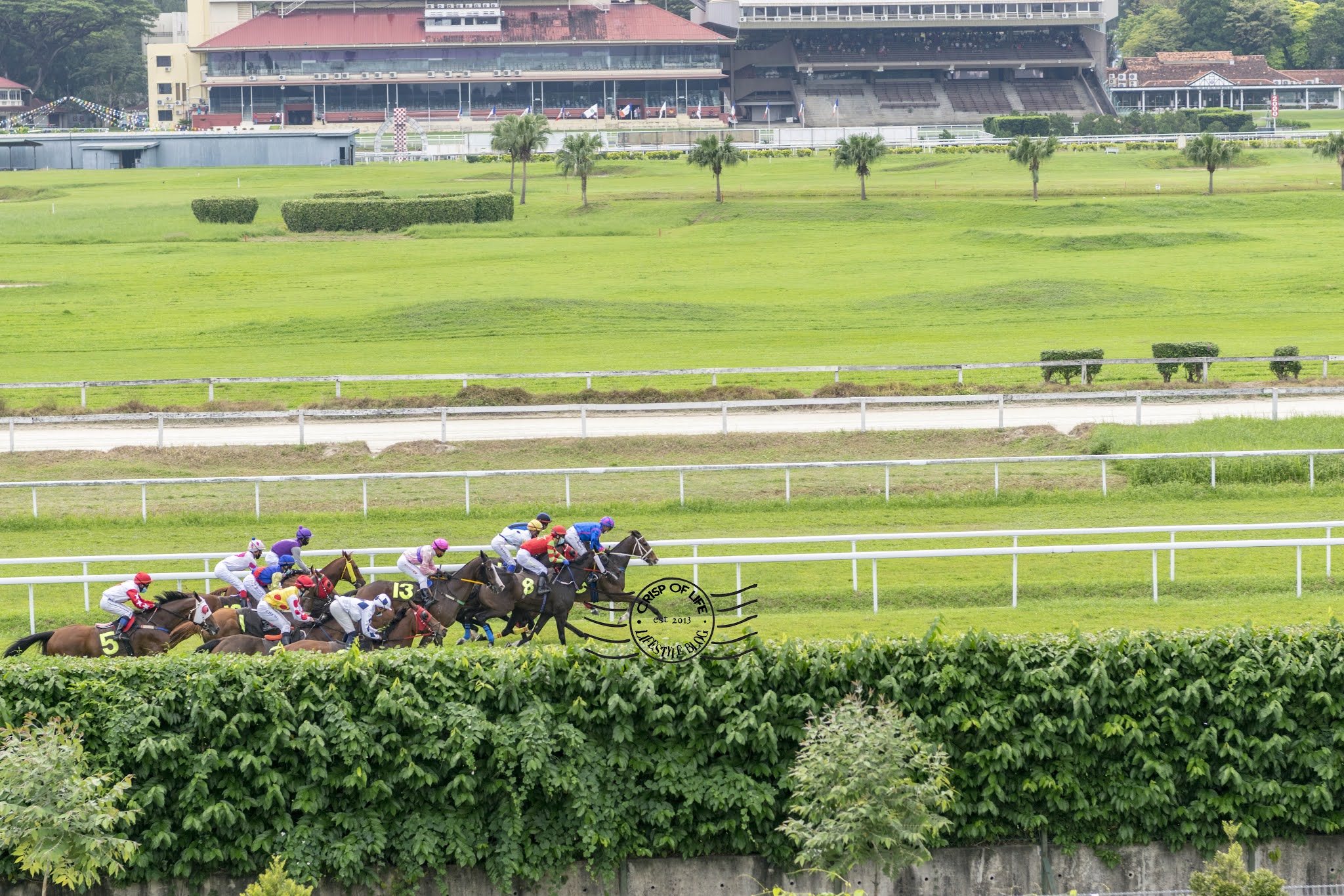 Penang turf club