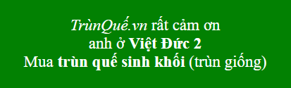 Trùn quế Việt Đức 2, Cư Kuin, Đăk Lăk