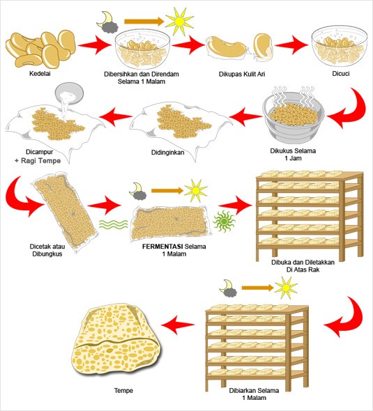 Contoh Lkpd Bioteknologi Konvensional Pembuatan Tempe Mediailmu22