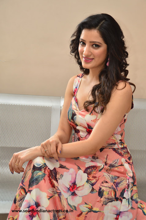 Richa Panai at Rakshaka Bhatudu Movie Pre Release