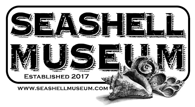 SeaShell Museum