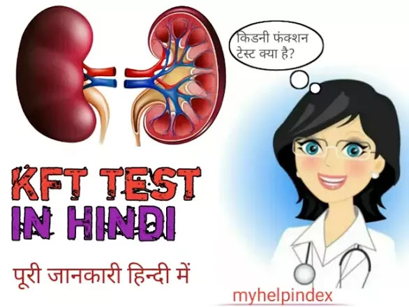 KFT test in Hindi | Kidney Function Test kya hota hai.