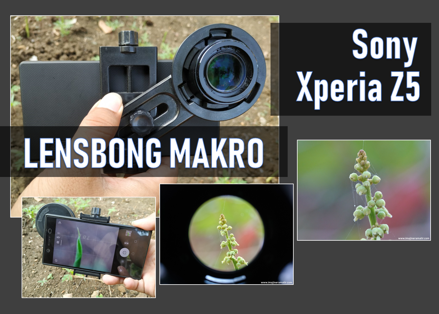 memotret objek makro dengan sony xperia