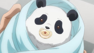 呪術廻戦アニメ 2年ズ 2年生「パンダの幼少期」 Jujutsu Kaisen Baby Panda  Hello Anime !