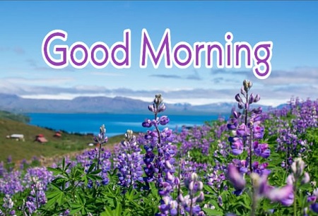 New Good Morning New Good Morning