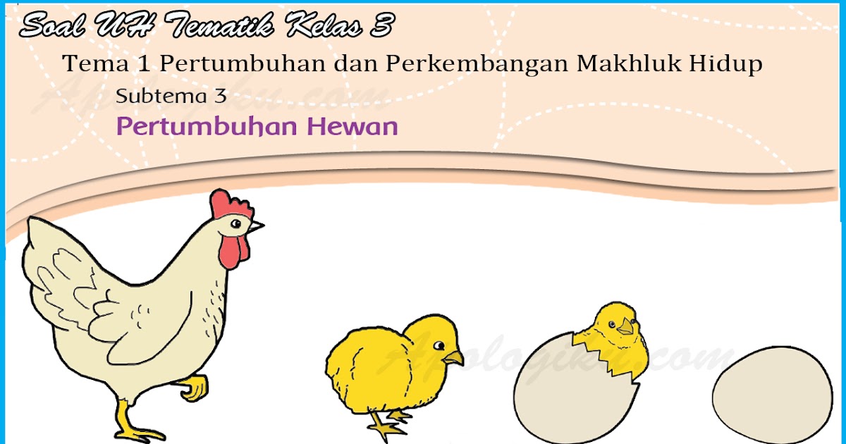 Soal Ulangan Harian Tematik Kelas 3 Tema 1 Subtema 3 Kurikulum 2013 Contoh Rpp Sd Dan Soal Sd Soal Ulangan Harian Tematik Kelas 3 Tema 1 Subtema 3 Kurikulum 2013 Contoh Rpp Sd Dan Soal Sd