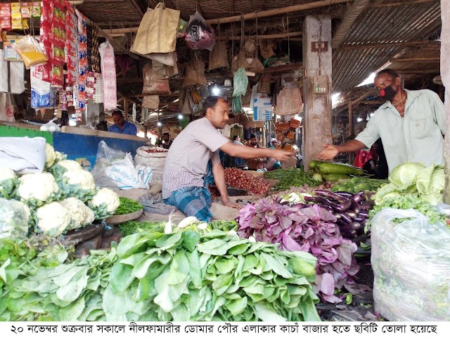 নীলফামারীর ডোমারে কাঁচা বাজারে কমতে শুরু করেছে শাক-সবজির দাম