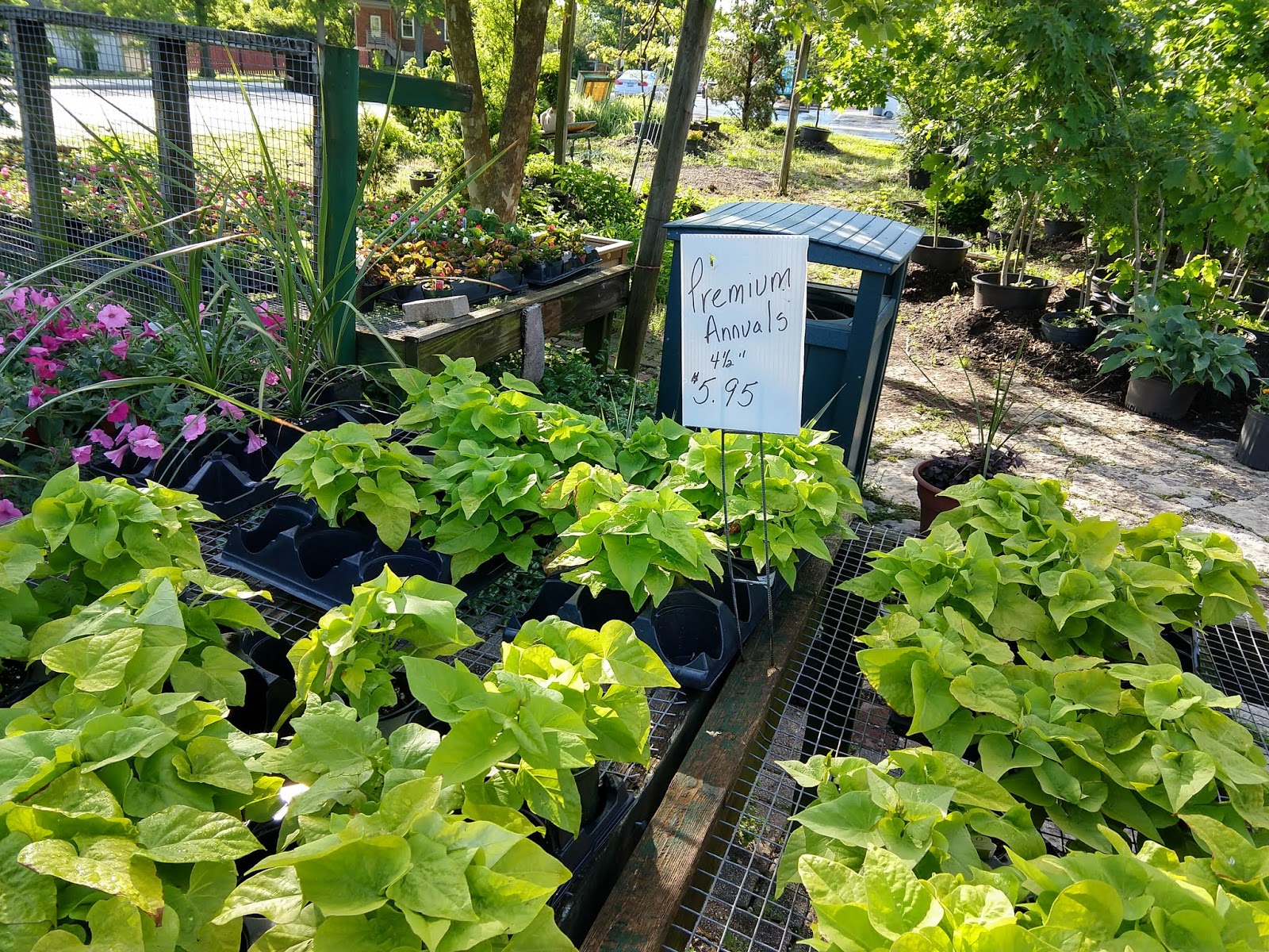 Peters Nursery & Garden Center