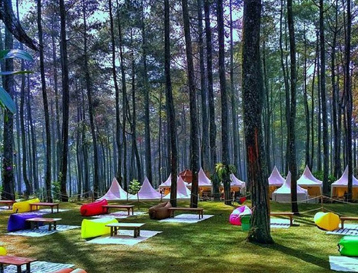 Camping Di Orchid Forest Cikole Lembang Bandung Barat Paket Outbound Lembang Bandung Wisata Bandung Offroad Offroad Lembang Outbound Outing Gathering