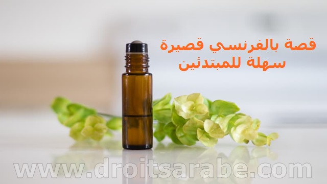 قصة بالفرنسي قصيرة سهلة للمبتدئين مع الترجمة بعنوان حشرة في زجاجة قصة بالفرنسي قصيرة سهلة للمبتدئين مع الترجمة بعنوان حشرة في زجاجة