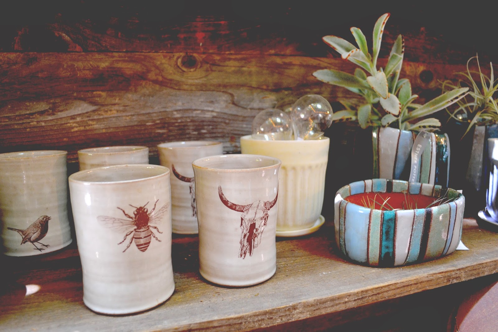 Cassidy Bliss Cooper Fig, Lennon Closet, and Shop Summer Camp