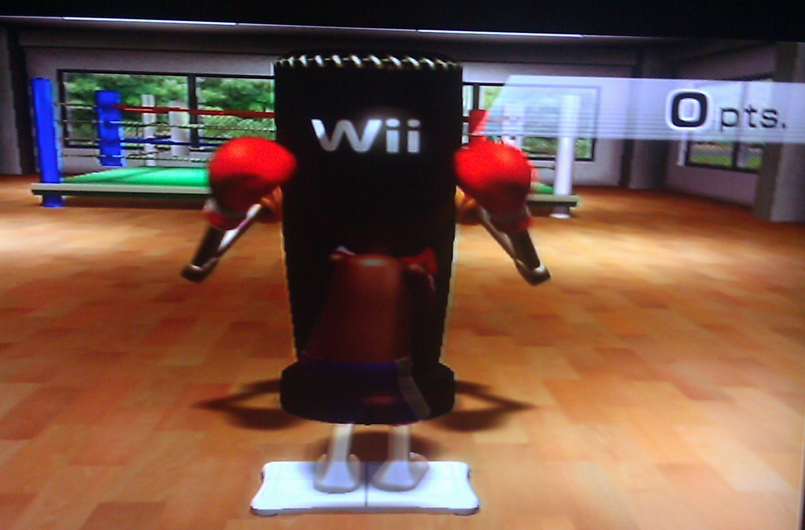 Thin in you Have your cake and eat it too Wii Rhythm Boxing