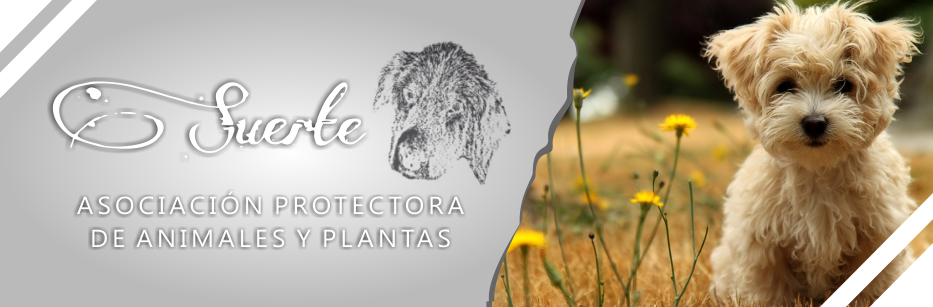 ASOCIACIÓN PROTECTORA DE ANIMALES Y PLANTAS SUERTE