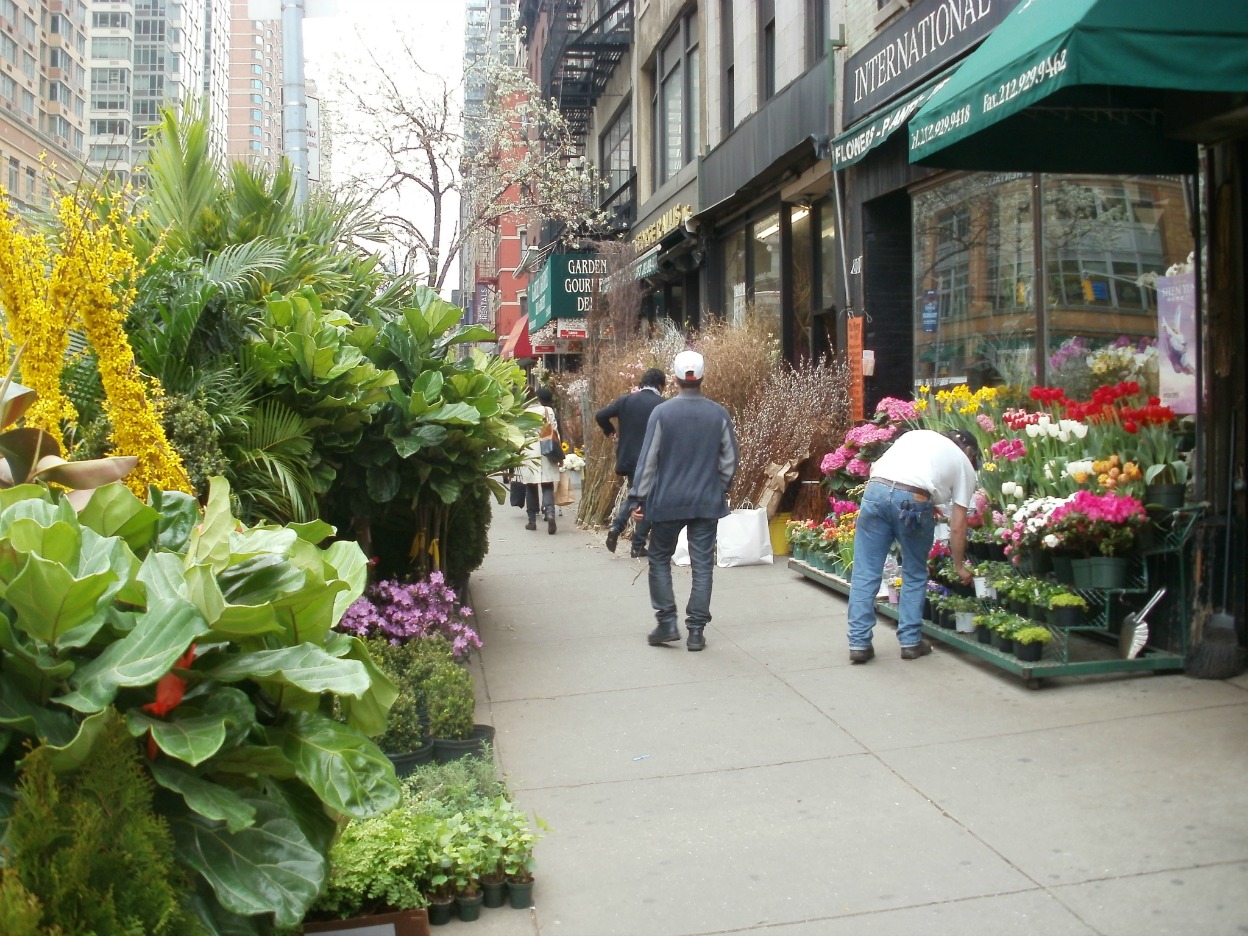Midtown Blogger/Manhattan Valley Follies Flower District (II)